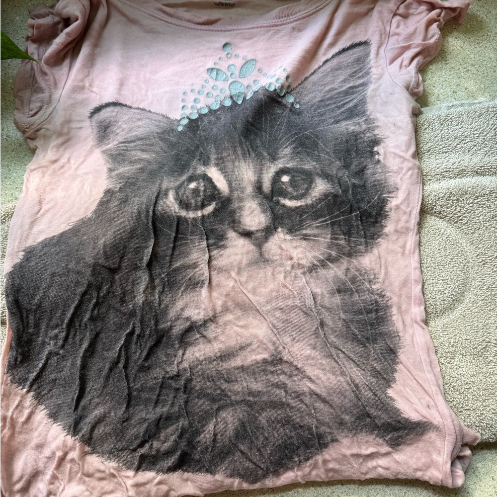 IN SEEK OF THIS Pink Cat Print T-Shirt PLEASE REACH OUT IF YOU HAVE IT